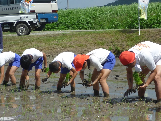 右寄せの画像