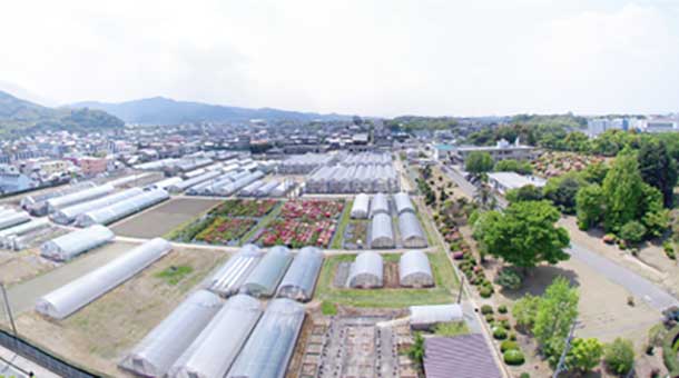 国立研究開発法人　農業・食品産業技術総合研究機構　九州沖縄農業研究センター筑後・久留米研究拠点（久留米）