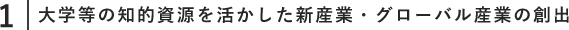 大学等の知的資源を活かした新産業・グローバル産業の創出